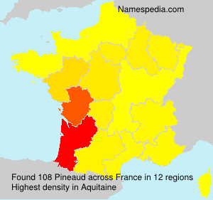 Surname Pineaud in France Surname Pineaud in France