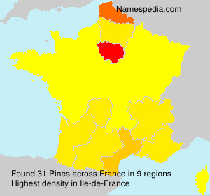 Surname Pines in France Surname Pines in France