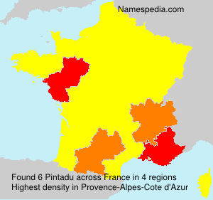Surname Pintadu in France Surname Pintadu in France