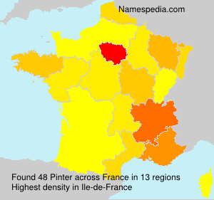 Surname Pinter in France Surname Pinter in France