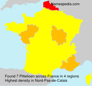 Surname Pittelioen in France