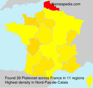 Surname Platevoet in France Surname Platevoet in France