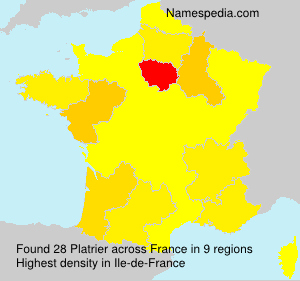 Surname Platrier in France Surname Platrier in France