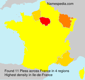 Surname Pless in France Surname Pless in France