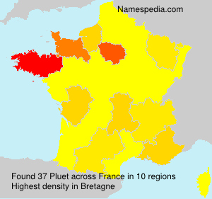 Surname Pluet in France Surname Pluet in France