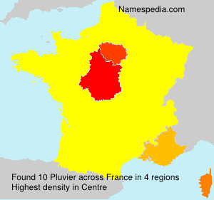 Pluvier Pluvier