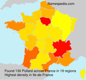 Surname Pollard in France Surname Pollard in France