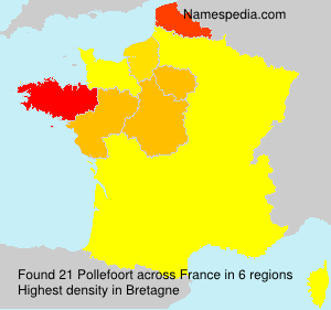 Surname Pollefoort in France Surname Pollefoort in France