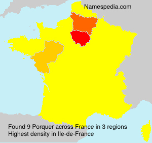 Surname Porquer in France Surname Porquer in France