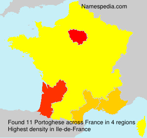 Surname Portoghese in France Surname Portoghese in France