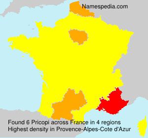 Surname Pricopi in France Surname Pricopi in France
