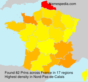 Surname Prins in France Surname Prins in France
