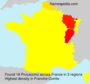 Surname Procaccino in France Surname Procaccino in France