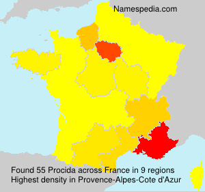 Surname Procida in France Surname Procida in France