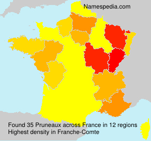 Surname Pruneaux in France