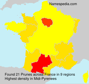 Surname Prunes in France Surname Prunes in France