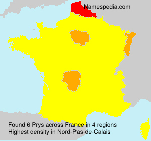 Surname Prys in France Surname Prys in France