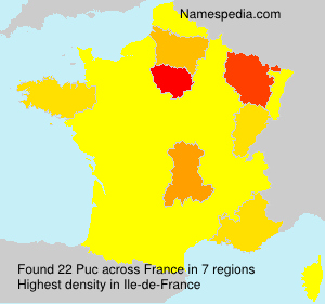 Surname Puc in France Surname Puc in France