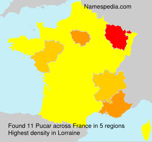 Surname Pucar in France Surname Pucar in France