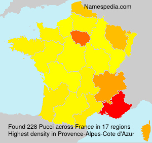 Surname Pucci in France Surname Pucci in France