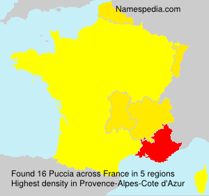 Surname Puccia in France