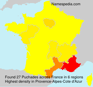 Surname Puchades in France