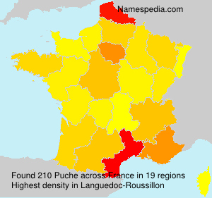 Surname Puche in France
