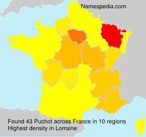 Surname Puchot in France Surname Puchot in France