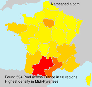 Surname Puel in France Surname Puel in France
