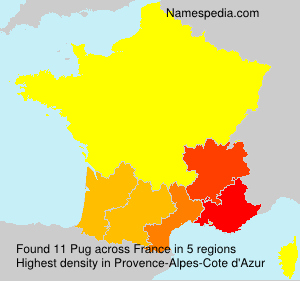 Surname Pug in France Surname Pug in France