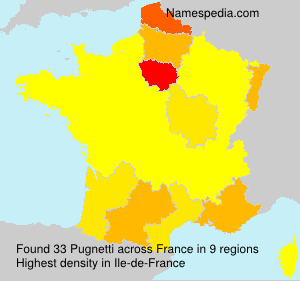 Surname Pugnetti in France Surname Pugnetti in France