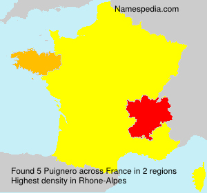 Surname Puignero in France