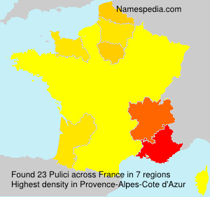 Pulici Pulici