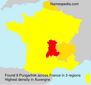 Surname Pungartnik in France