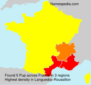 Surname Pup in France Surname Pup in France
