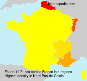 Surname Pusca in France Surname Pusca in France