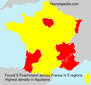 Surname Puschmann in France