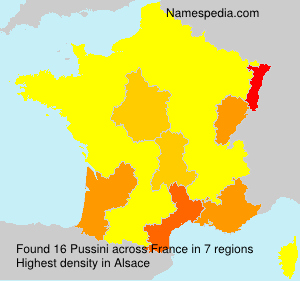 Pussini Pussini