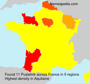 Surname Pustelnik in France