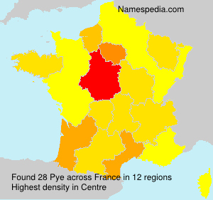 Surname Pye in France