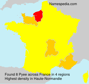 Surname Pyee in France