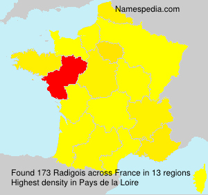 Surname Radigois in France Surname Radigois in France