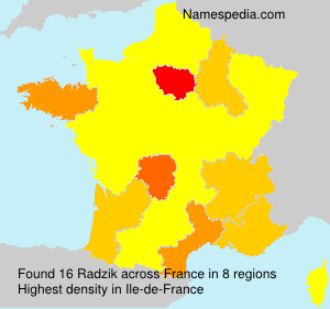 Surname Radzik in France Surname Radzik in France