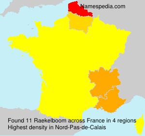Raekelboom Raekelboom