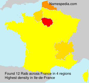 Surname Raib in France Surname Raib in France