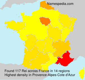 Surname Rei in France