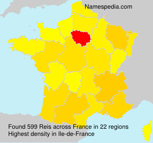 Surname Reis in France Surname Reis in France