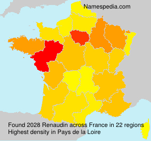 Surname Renaudin in France