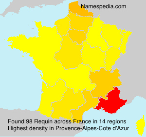 Surname Requin in France Surname Requin in France