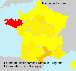 Surname Ribler in France Surname Ribler in France